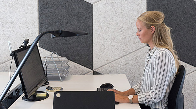 Troldtekt, Globe Systems
